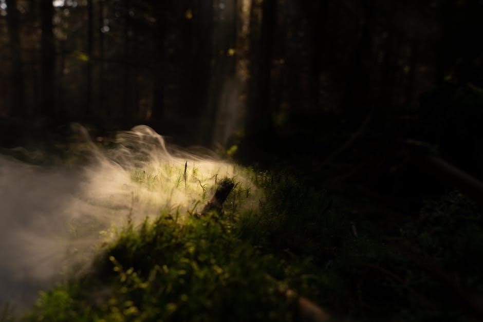 secrets of a sun king pdf