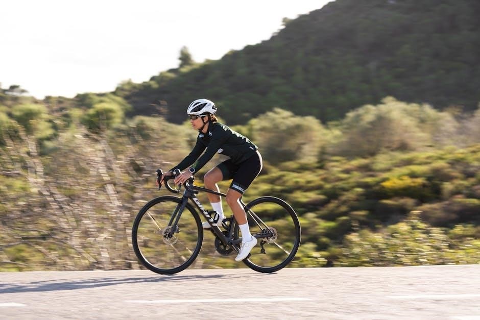 pearl izumi size guide